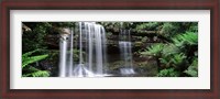 Framed Waterfall in a forest, Russell Falls, Mt Field National Park, Tasmania, Australia