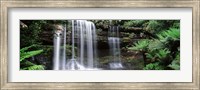 Framed Waterfall in a forest, Russell Falls, Mt Field National Park, Tasmania, Australia