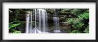 Framed Waterfall in a forest, Russell Falls, Mt Field National Park, Tasmania, Australia