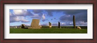 Framed Sheep, Stones Of Stenness, Orkney Islands, Scotland, United Kingdom