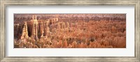 Framed Aerial View Of The Grand Canyon, Bryce Canyon National Park, Utah, USA