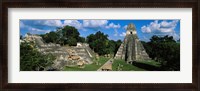 Framed Ruins Of An Old Temple, Tikal, Guatemala