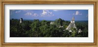 Framed High Angle View Of An Old Temple, Tikal, Guatemala