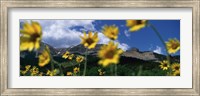 Framed Low Angle View Of Mountains, Montana, USA
