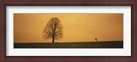 Framed Man standing with an umbrella near a tree, Baden-Wuerttemberg, Germany