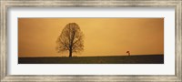Framed Man standing with an umbrella near a tree, Baden-Wuerttemberg, Germany