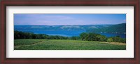 Framed High angle view of a vineyard near a lake, Keuka Lake, Finger Lakes, New York State, USA