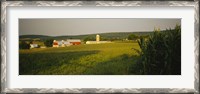 Framed Crop in a field, Frederick County, Virginia, USA