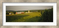 Framed Crop in a field, Frederick County, Virginia, USA