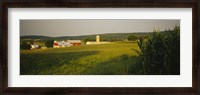 Framed Crop in a field, Frederick County, Virginia, USA