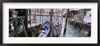 Framed Gondolas moored near a bridge, Rialto Bridge, Grand Canal, Venice, Italy