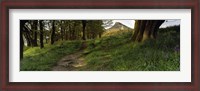 Framed Path Running Through A Forest, Newton Wood, Yorkshire, England, United Kingdom