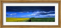 Framed Clouds Over A Cultivated Field, Hunmanby, Yorkshire Wolds, England, United Kingdom