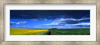 Framed Clouds Over A Cultivated Field, Hunmanby, Yorkshire Wolds, England, United Kingdom
