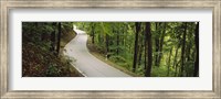 Framed Empty road running through a forest, Stuttgart, Baden-Wurttemberg, Germany