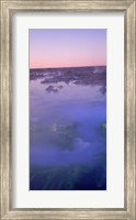 Framed Hot springs in a lake, Blue Lagoon, Iceland