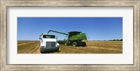 Framed Combine in a wheat field, Kearney County, Nebraska, USA