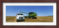 Framed Combine in a wheat field, Kearney County, Nebraska, USA