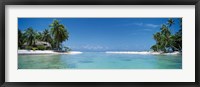 Framed Palm trees on the beach, Tikehau, French Polynesia