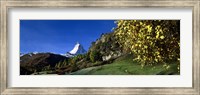 Framed Low angle view of a snowcapped mountain, Matterhorn, Valais, Switzerland