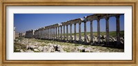 Framed Row of Columns, Cardo Maximus, Apamea, Syria