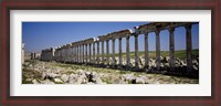 Framed Row of Columns, Cardo Maximus, Apamea, Syria