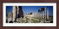 Framed Old ruins on a landscape, Cardo Maximus, Apamea, Syria