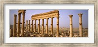 Framed Ruins in Palmyra, Syria