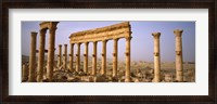 Framed Ruins in Palmyra, Syria