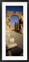 Framed Old Ruins Palmyra, Syria (vertical)