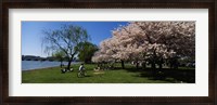 Framed Group of people in a garden, Cherry Blossom, Washington DC, USA