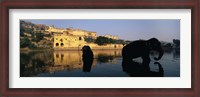 Framed Silhouette of two elephants in a river, Amber Fort, Jaipur, Rajasthan, India