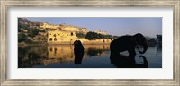 Framed Silhouette of two elephants in a river, Amber Fort, Jaipur, Rajasthan, India