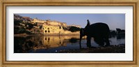 Framed Side profile of a man sitting on an elephant, Amber Fort, Jaipur, Rajasthan, India