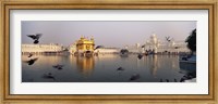 Framed Reflection of a temple in a lake, Golden Temple, Amritsar, Punjab, India