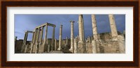 Framed Columns of buildings in an old ruined Roman city, Leptis Magna, Libya