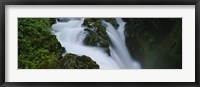 Framed High angle view of a waterfall, Sol Duc Falls, Olympic National Park, Washington State, USA