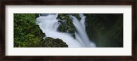 Framed High angle view of a waterfall, Sol Duc Falls, Olympic National Park, Washington State, USA
