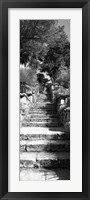 Framed Low angle view of steps in a garden, Neptune's Steps, Tresco Abbey Garden, Tresco, Isles Of Scilly, England
