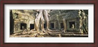 Framed Close up of Old ruins of a building, Angkor Wat, Cambodia