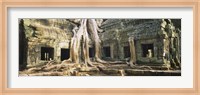 Framed Close up of Old ruins of a building, Angkor Wat, Cambodia