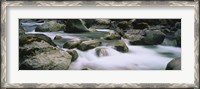 Framed River flowing through rocks, Skokomish River, Olympic National Park, Washington State, USA
