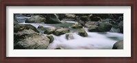 Framed River flowing through rocks, Skokomish River, Olympic National Park, Washington State, USA