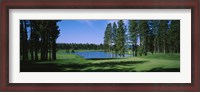 Framed Trees on a golf course, Edgewood Tahoe Golf Course, Stateline, Nevada, USA