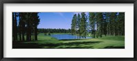 Framed Trees on a golf course, Edgewood Tahoe Golf Course, Stateline, Nevada, USA