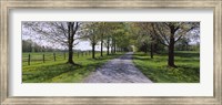 Framed Road passing through a farm, Knox Farm State Park, East Aurora, New York State, USA