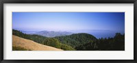 Framed High angle view of a forest, Mt Tamalpais, California, USA