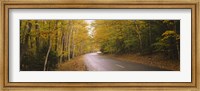 Framed Road passing through a forest, Park Loop Road, Acadia National Park, Mount Desert Island, Maine, USA