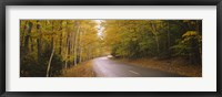 Framed Road passing through a forest, Park Loop Road, Acadia National Park, Mount Desert Island, Maine, USA