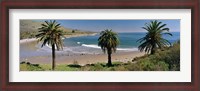 Framed High angle view of palm trees on the beach, Refugio State Beach, Santa Barbara, California, USA